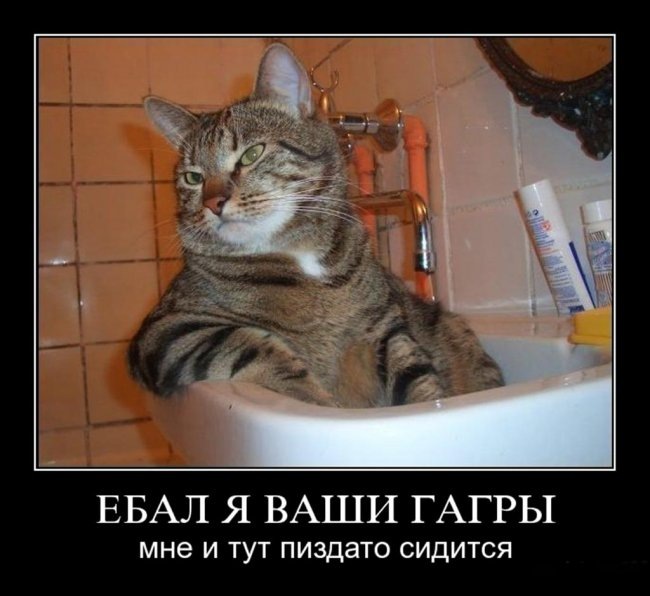 Viktor Viktor фотография #2
