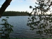 Михаил Романенко фотография #17 (источник - https://vk.com/id990772)