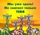 Андрій Колібик фотография #32 (источник - https://vk.com/id67694781)