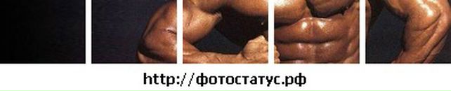 Вася Зіник фотография #36 (источник - https://vk.com/id84672920)