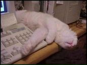 Фотография Фёдорова Ивана