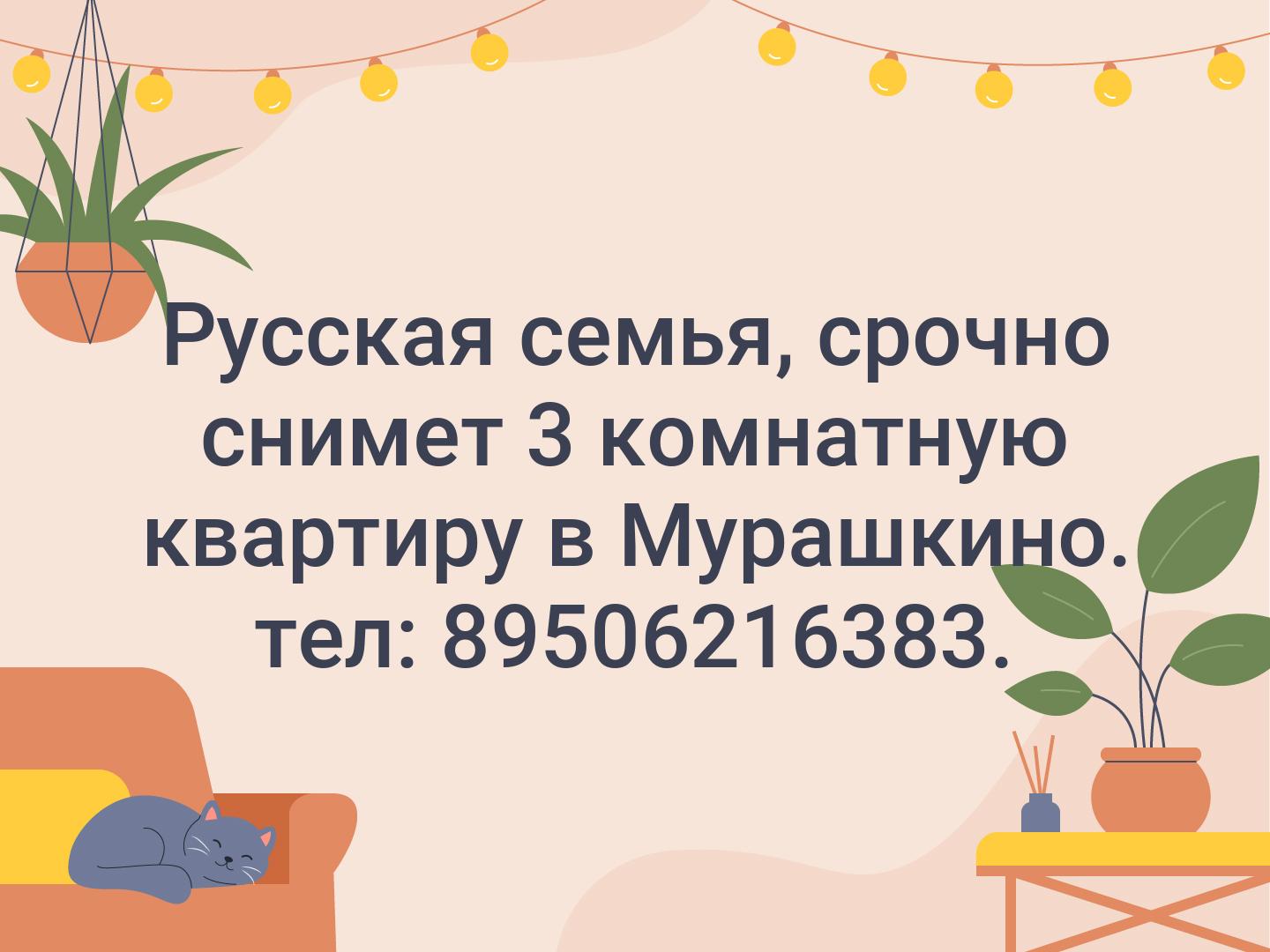 Русская семья, срочно снимет 3 комнатную квартиру в Мурашкино.
тел: 89506216383.