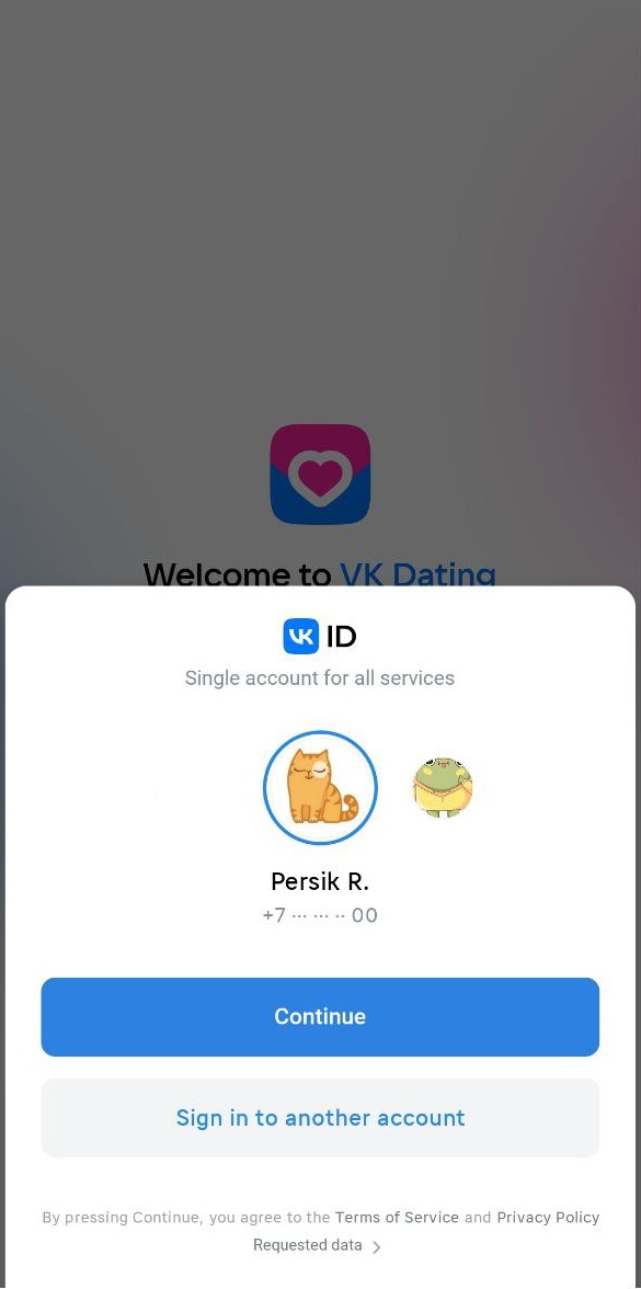 Example of a sign-in form using VK ID account